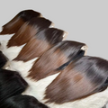 13x4 lace bob double drawn bone straight ombre brown color  250% 14 inch